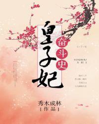 皇子妃奋斗史封面