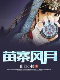 苗寨风月封面