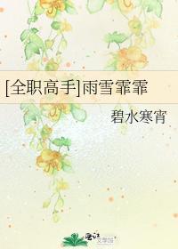 [全职高手]雨雪霏霏封面