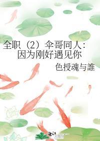 全职(2)伞哥同人:因为刚好遇见你封面