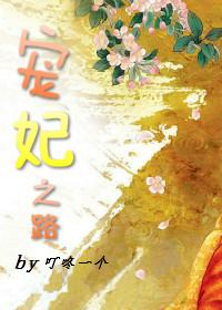 宠妃之路封面