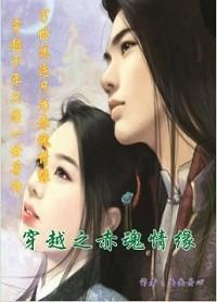 穿越之赤魂情缘封面
