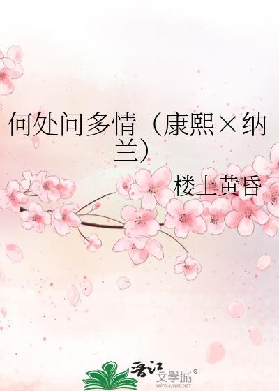 何处问多情（康熙×纳兰）封面