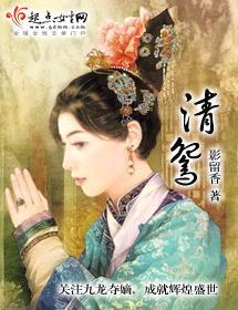 清鸳封面