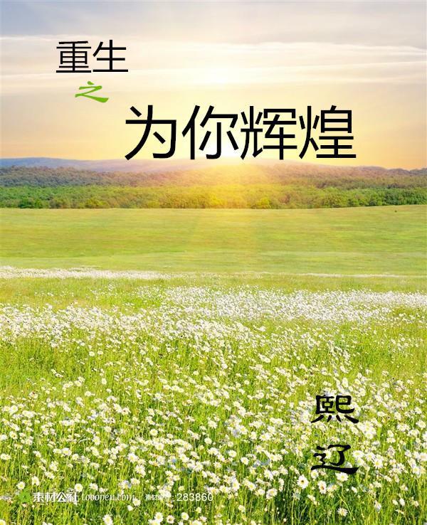 重生之为你辉煌封面