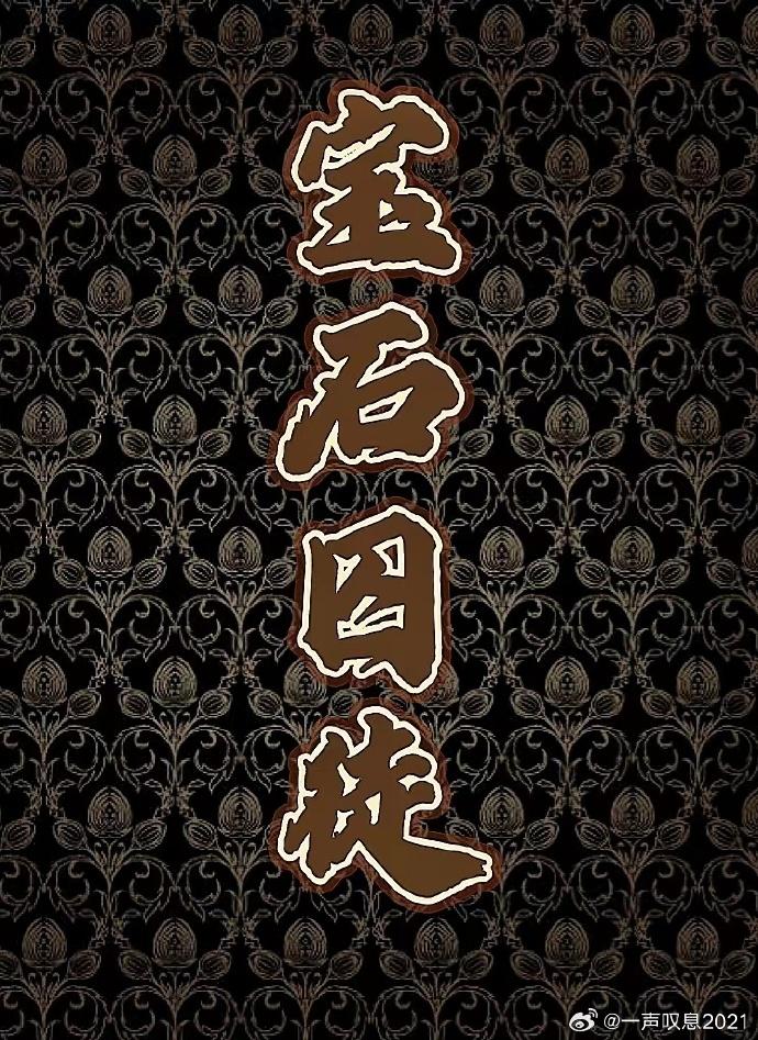 宝石囚徒封面