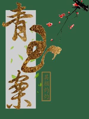 青玉案封面