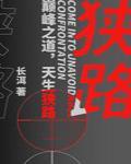 狭路封面