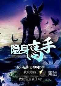 隐身高手封面