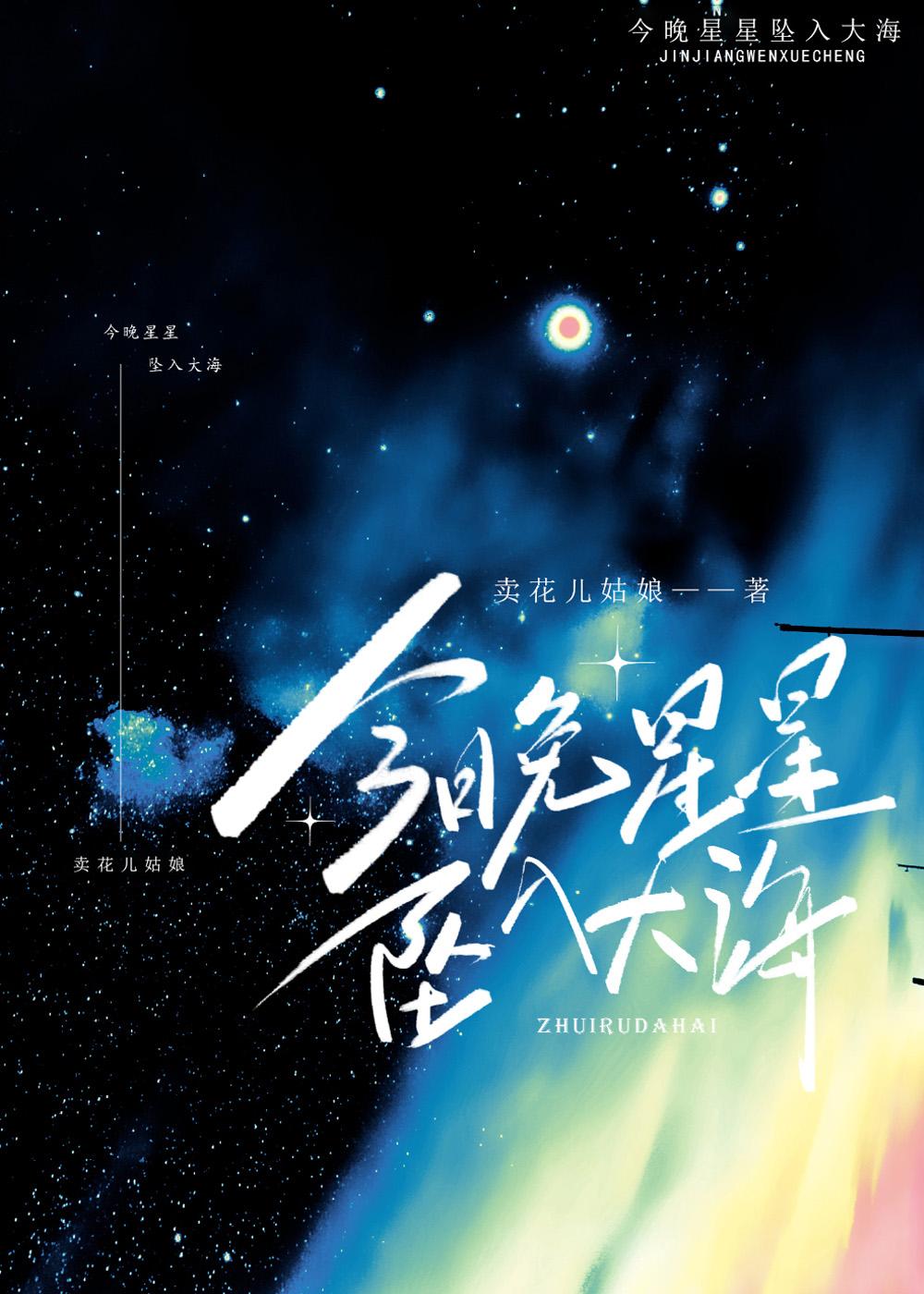 今晚星星坠入大海封面