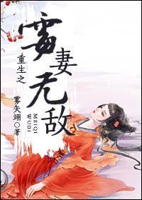 重生之霉妻无敌封面