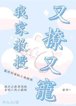 我家教授又撩又宠封面