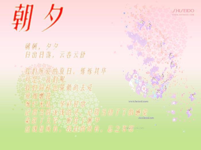 朝夕(网王之凤BG)封面