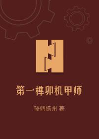 第一榫卯机甲师封面