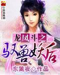 龙凤斗之驭兽妖后封面