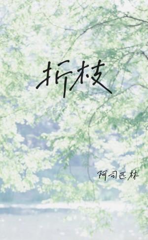 折枝封面