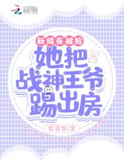 新婚夜被抢！她把战神王爷踢出房封面
