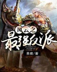 风云之最强反派封面