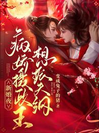 新婚夜，病娇摄政王想振夫纲封面