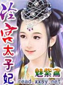 冷宫太子妃封面