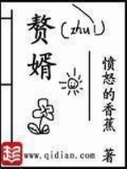 赘婿苏檀儿宁毅封面