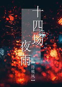 十四场夜雨封面