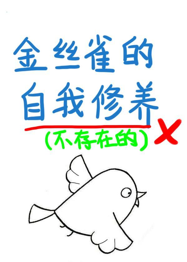 金丝雀的自我修养封面