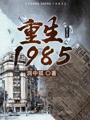 重生1985封面