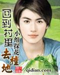 回到村裏去种地封面