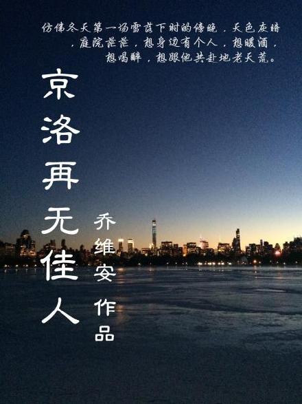 京洛再无佳人封面