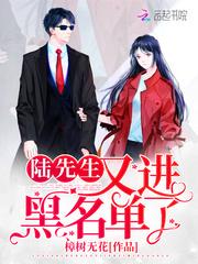 陆先生又进黑名单了封面