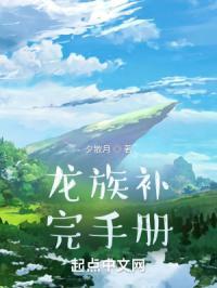 龙族补完手册封面