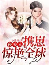 韩乔夜北忱全文免费的封面