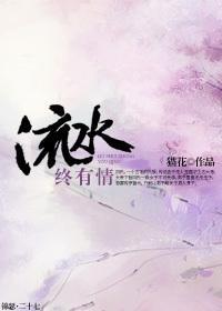 流水终有情封面