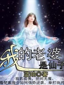 我的老婆是仙子封面