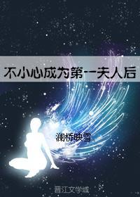 不小心成为第一夫人后封面