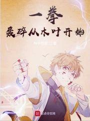 一拳轰碎从木叶开始封面