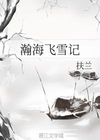 瀚海飞雪记封面