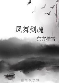 凤舞剑魂封面