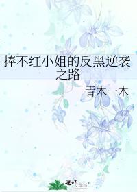 捧不红小姐的反黑逆袭之路封面