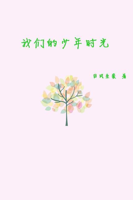 我们的少年时光封面