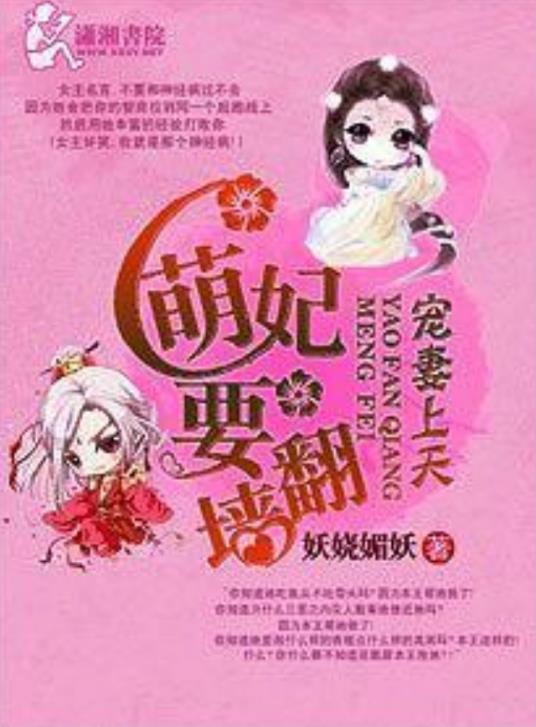 宠妻上天，萌妃要翻墻封面