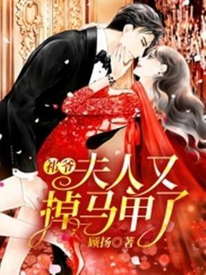 祁爷,夫人又掉马甲了封面