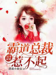 以身试爱，霸道总裁惹不起封面