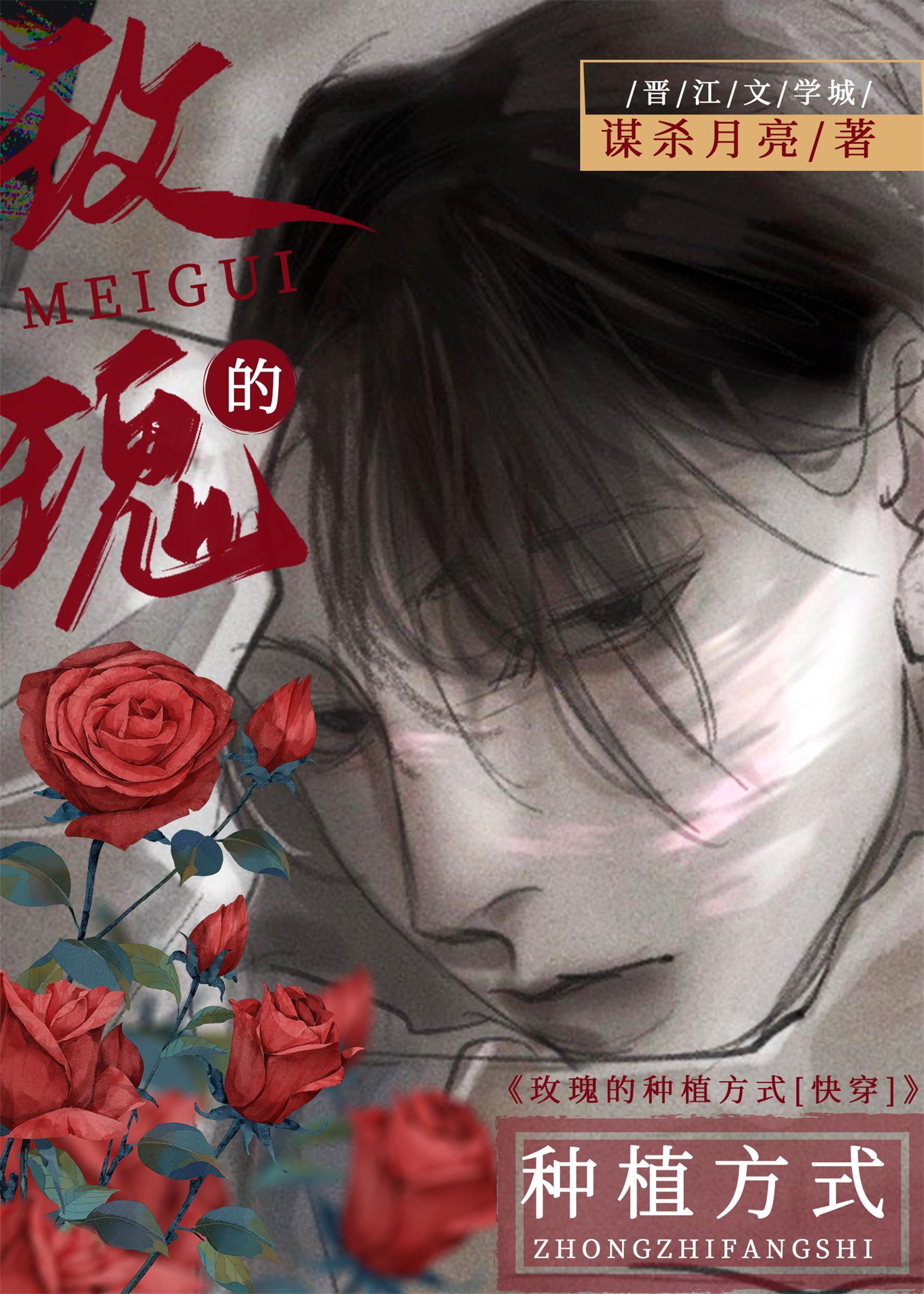 玫瑰的种植方式[快穿]封面