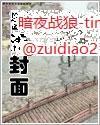 斩皇封面