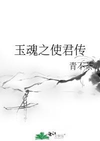 玉魂之使君传封面