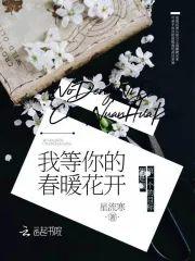 我等你的春暖花开封面