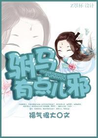 驸马有点儿邪封面