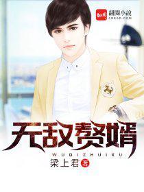 无敌赘婿封面